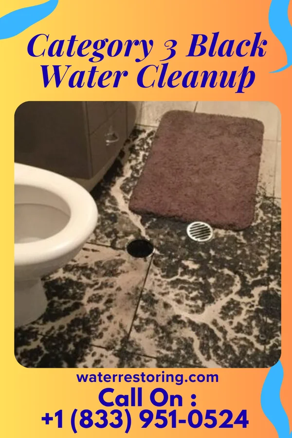 Category 3 Black Water Cleanup in Loyall, KY