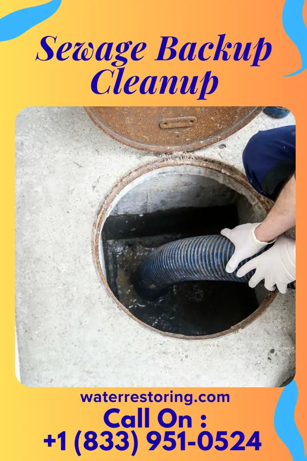 Sewage Backup Cleanup in Loyall, KY