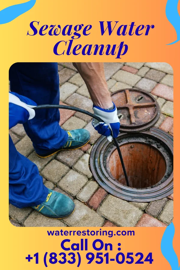 Sewage Water Cleanup in Loyall, KY